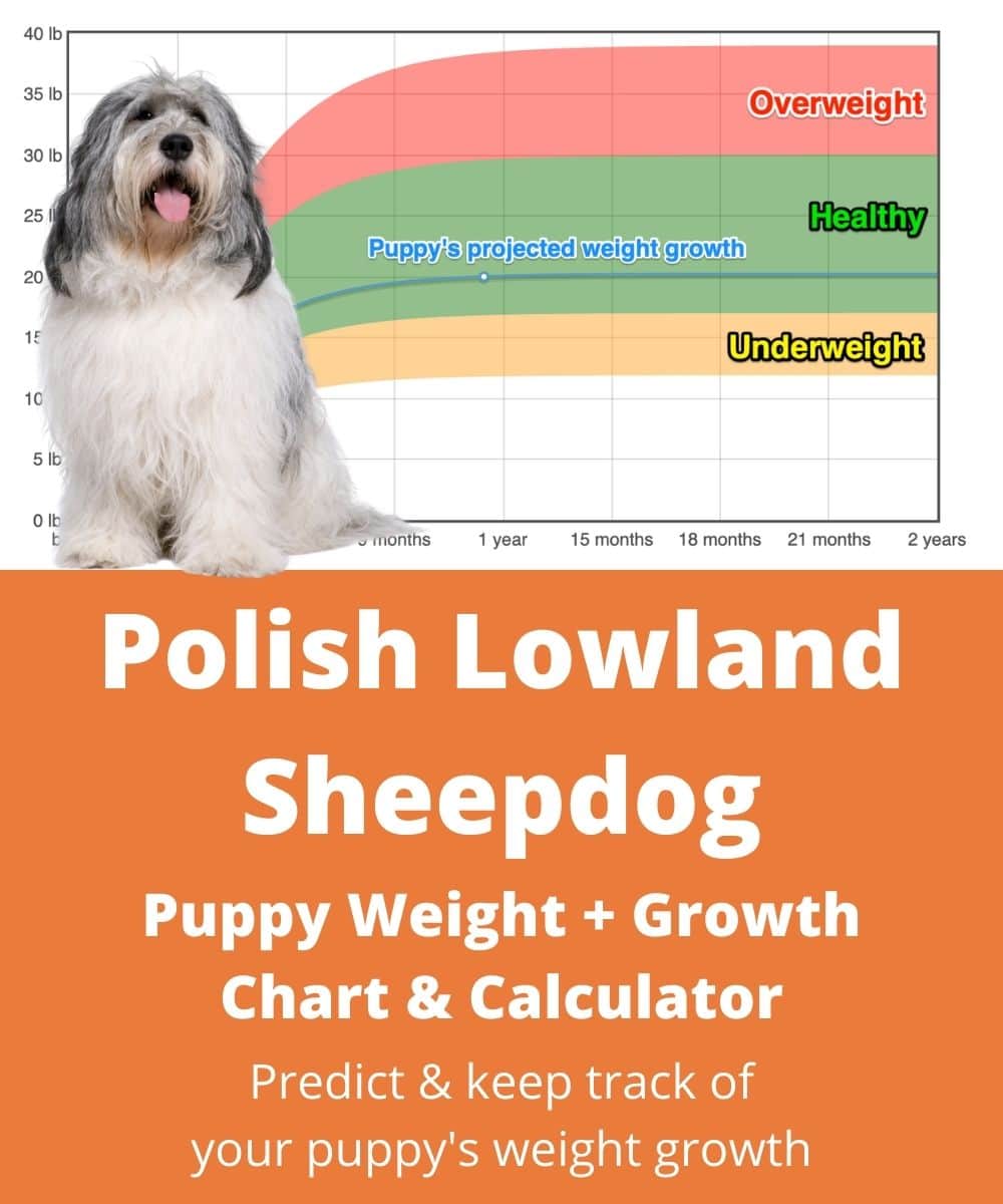 polish-lowland-sheepdog Puppy Weight Growth Chart polish-lowland-sheepdog Puppy Weight Growth Chart